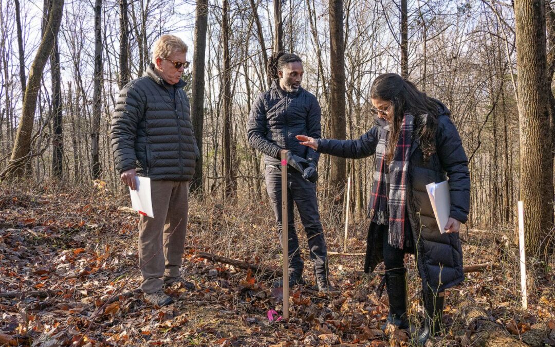 Options for ‘green’ burials grow in Chesapeake region