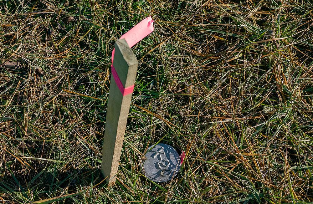 Why Green Burial is Trending