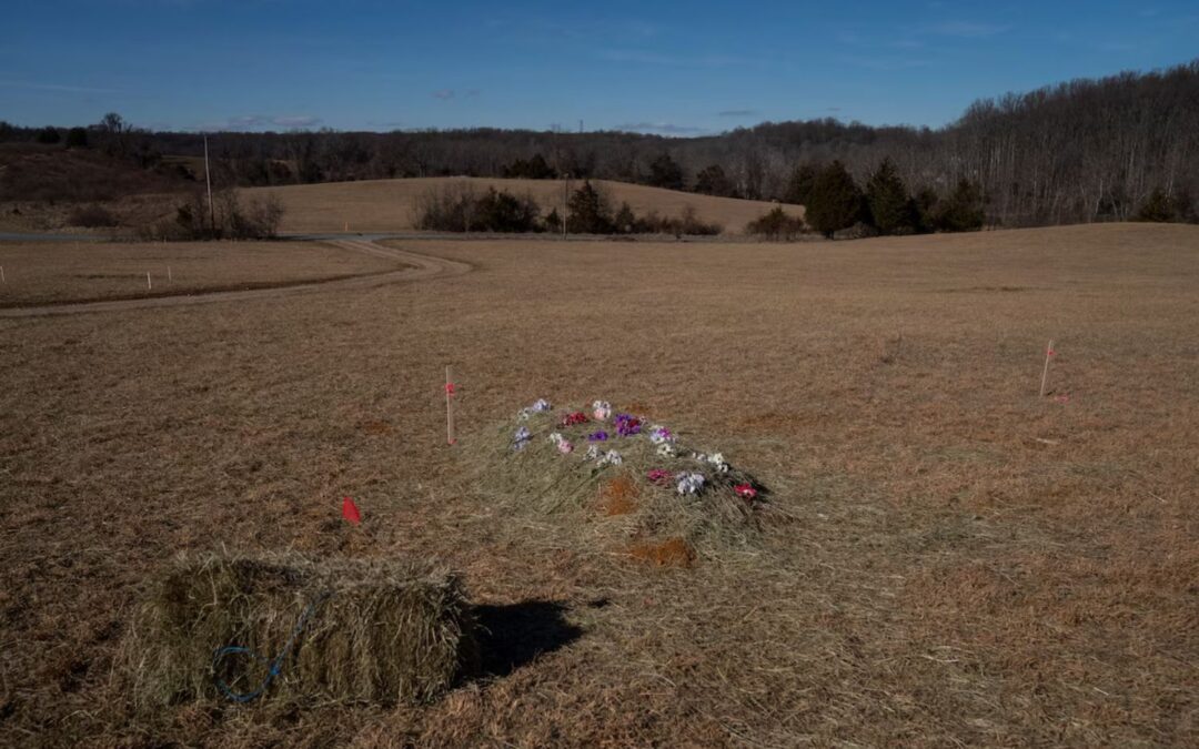 To help Earth’s future, people are getting buried like it’s 1860