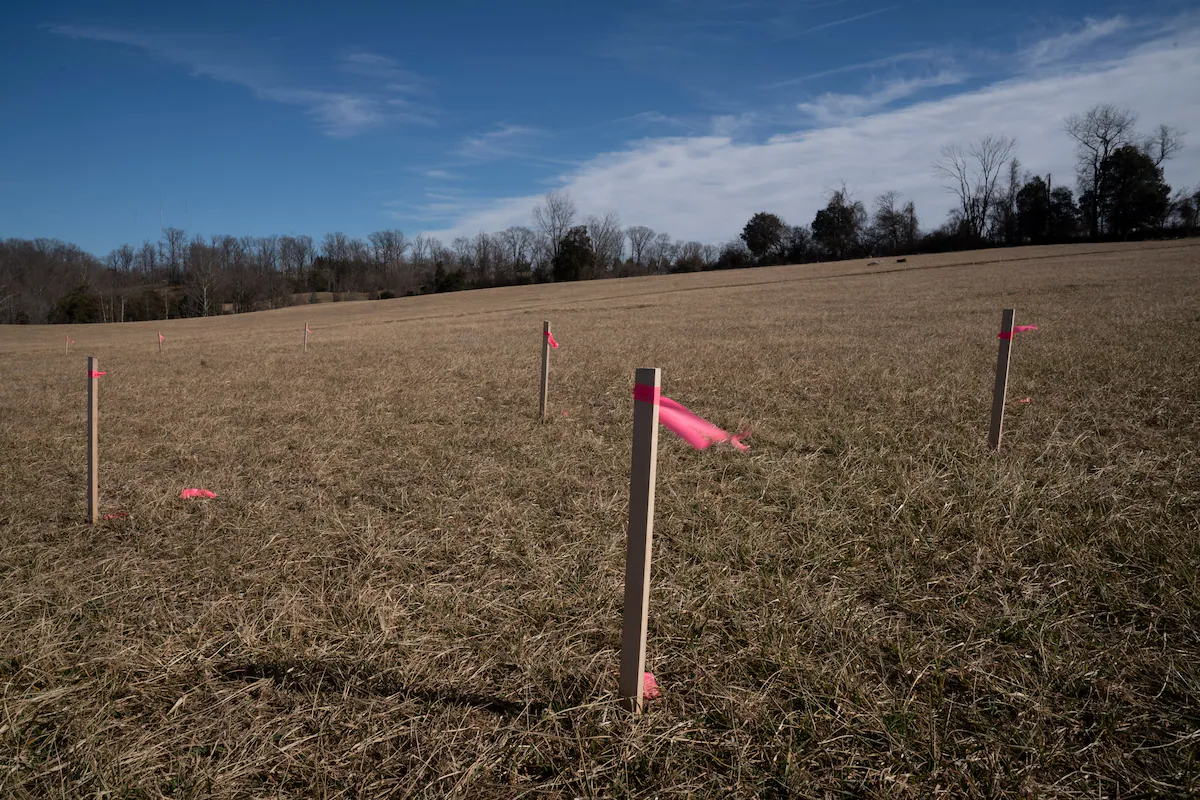 Green Burial Council of Maryland