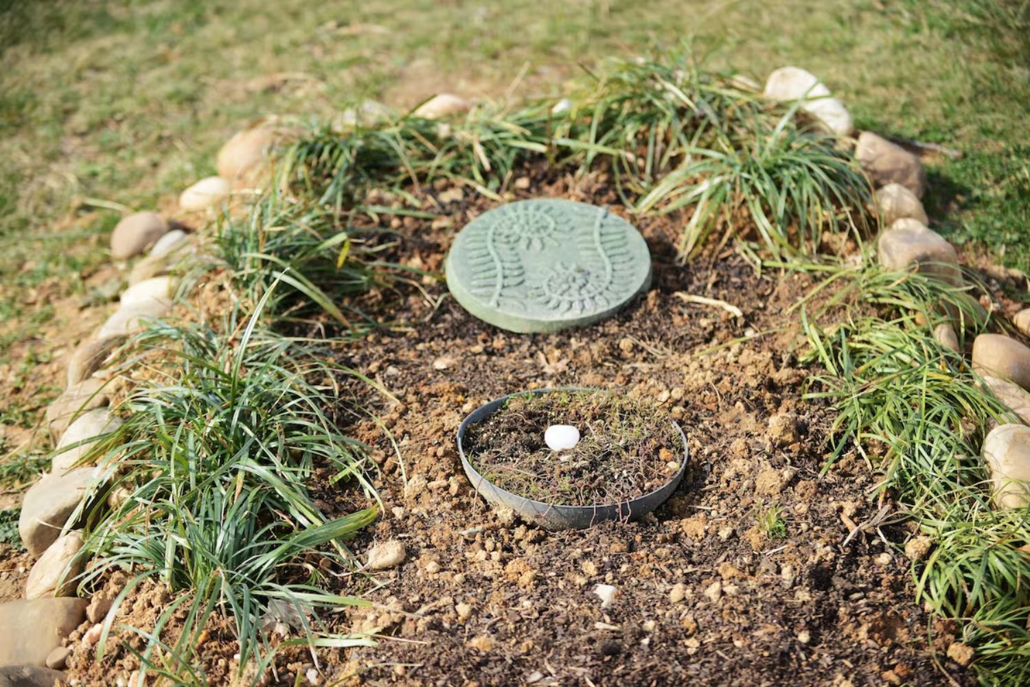Ben's Run at Serenity Ridge Natural Burial Cemetery