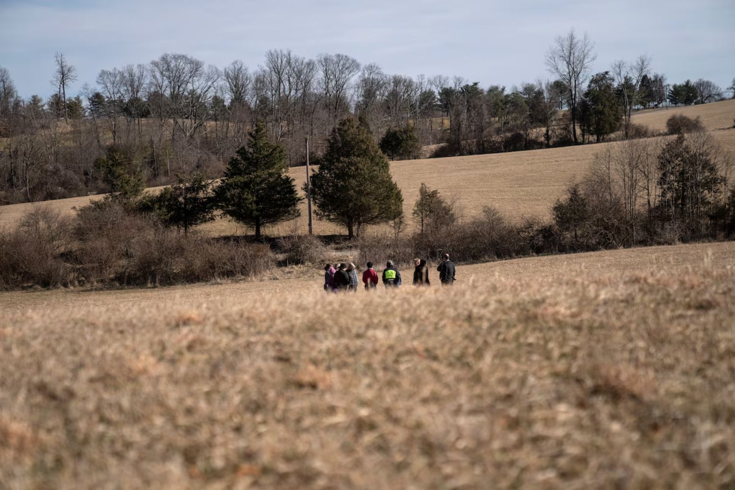 Duck Run Natural Cemetery