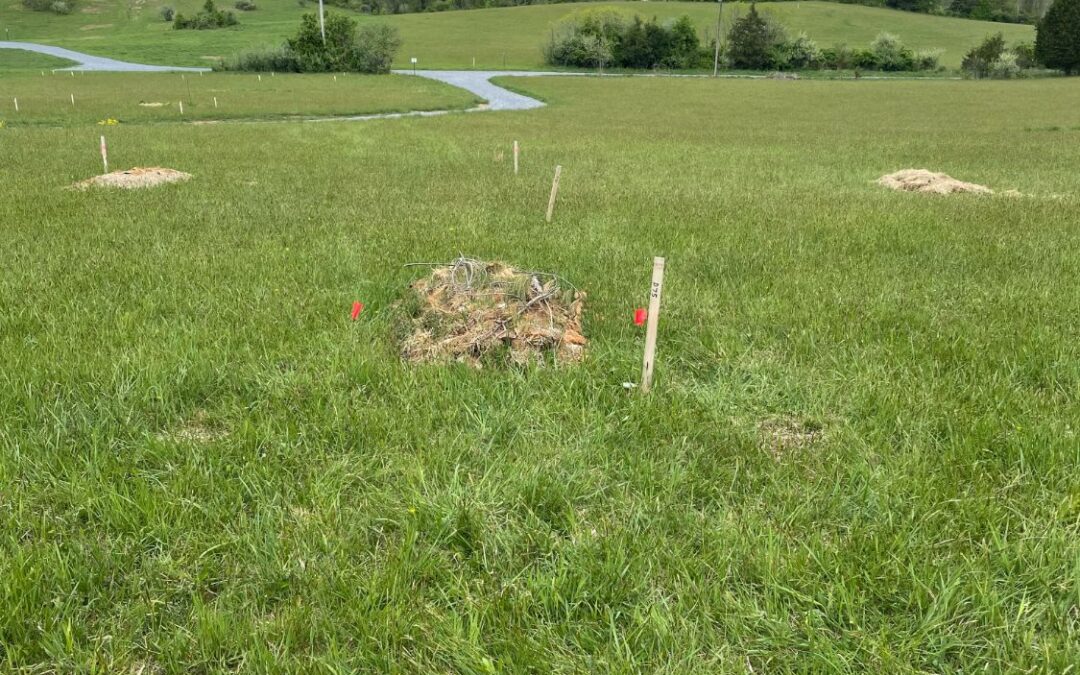 Exploring Burial Options in Maryland