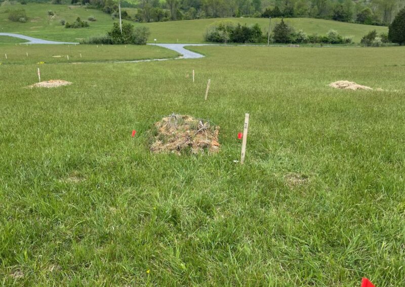 Stakes marking natural burial plots
