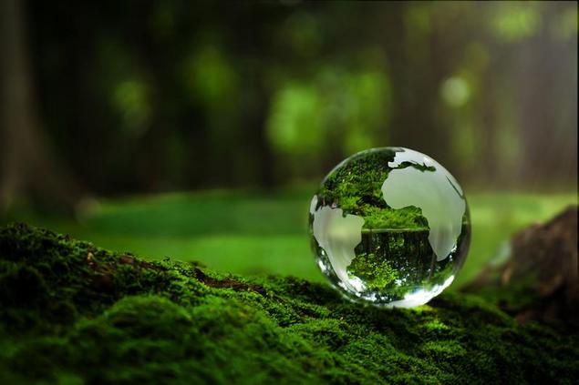 A Journey Towards Saving the Environment