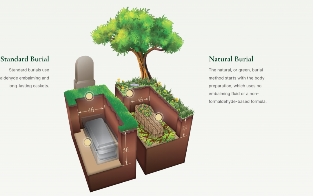 The Benefits of Shallow Burial Depth for Aerobic Decomposition