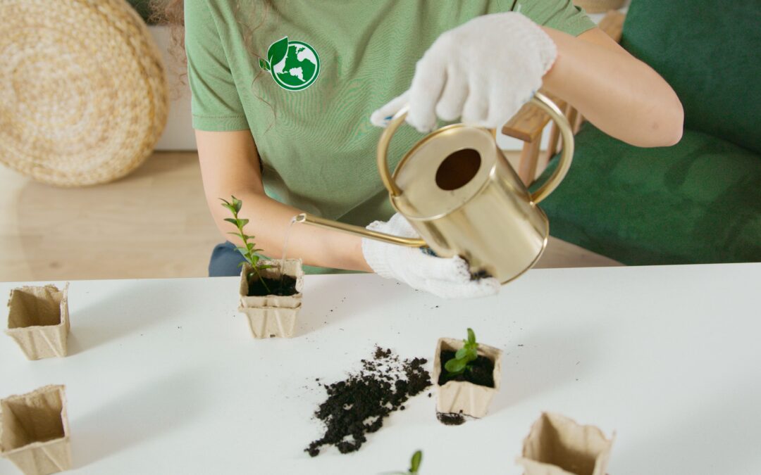 The Biodegradability Factor in Cremation Urns