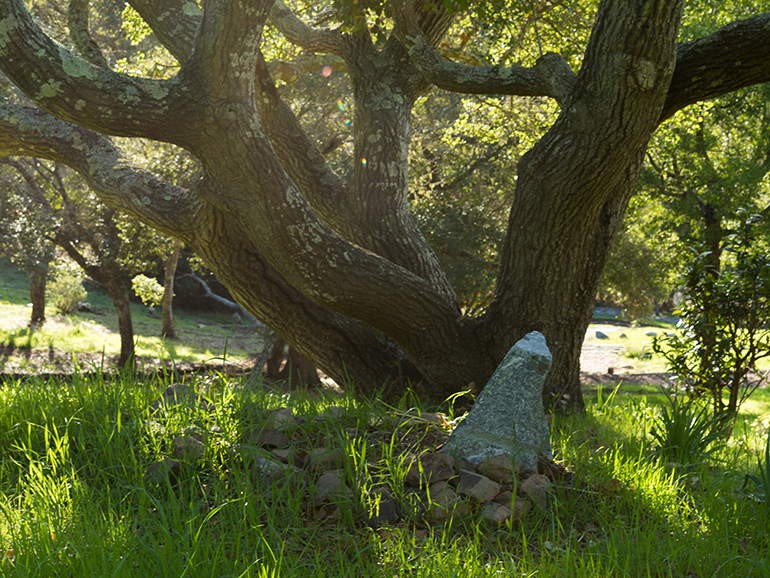 Cultural Perspectives on Natural Burials Around the World