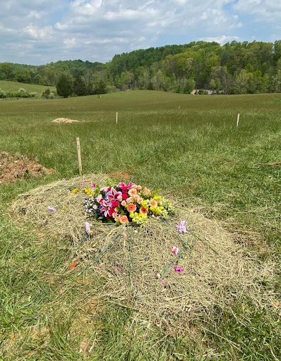 Ideas for Honoring Loved Ones in Natural Burial Sites