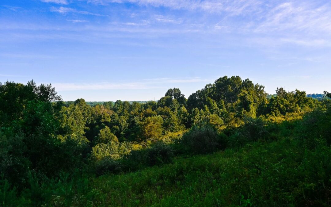 Top 10 Reasons to Choose Serenity Ridge