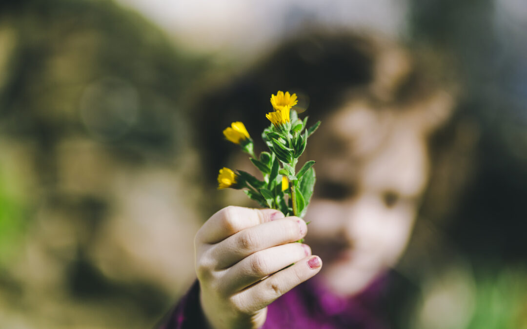 How Green Burials Honor Life and Nature