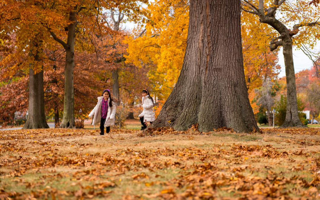 Embracing Autumn in Maryland: A Peaceful Resting Place with Nature at the Heart