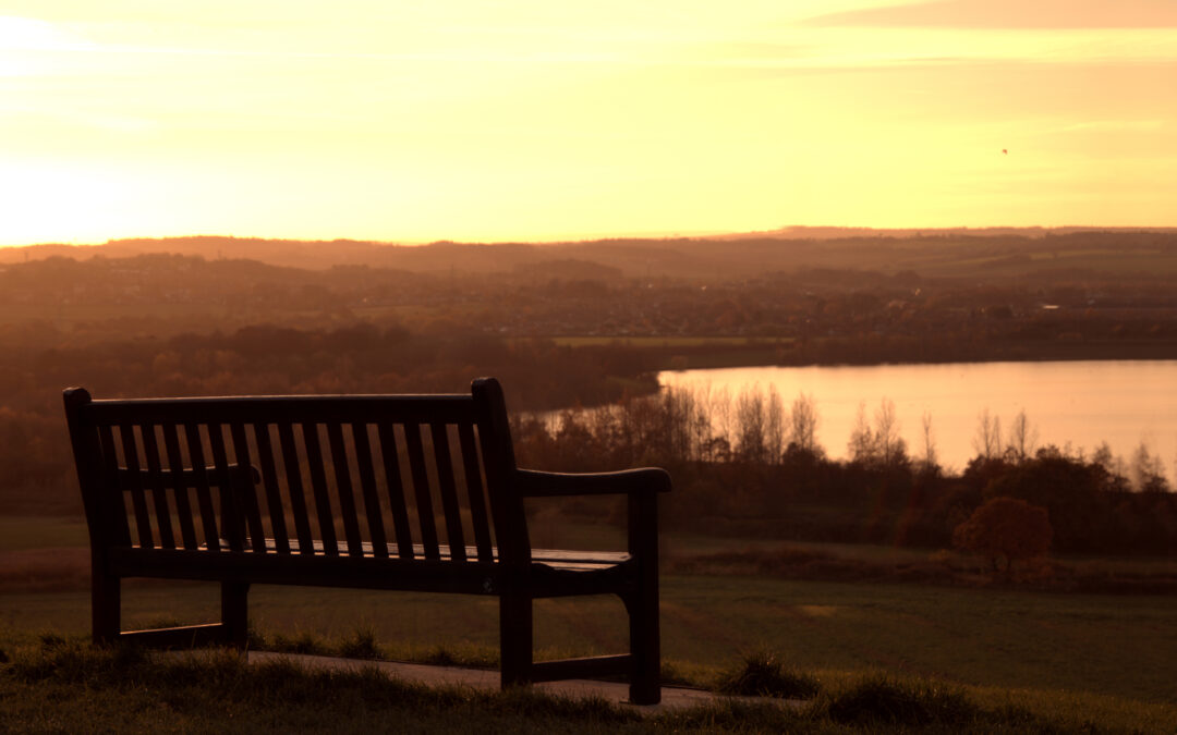 Redefining Final Resting Places Through Natural Choices