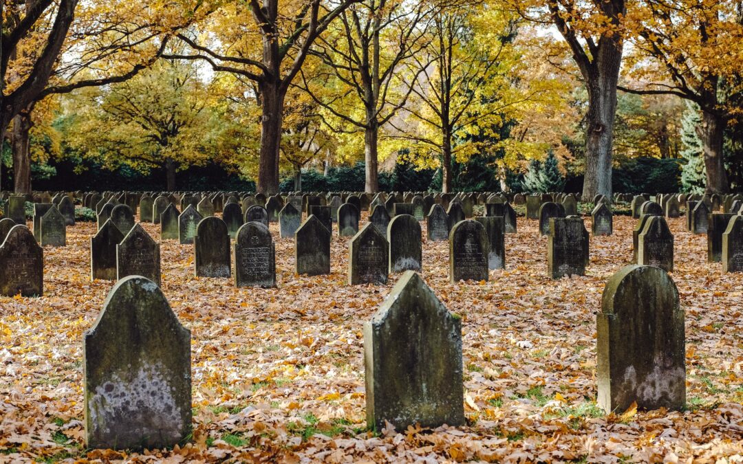 The Environmental Impact of Traditional Burial Methods