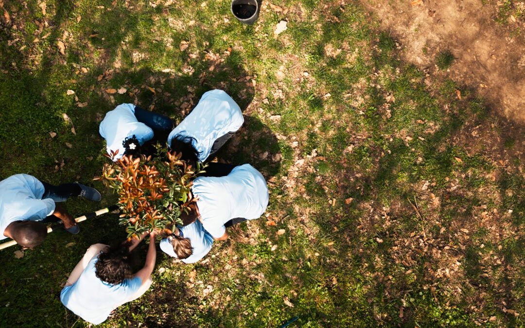 Maryland Body Composting Laws