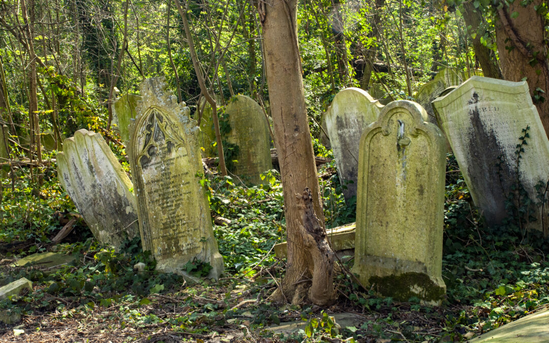 Burial Options and Lasting Benefits of Nature Preserves