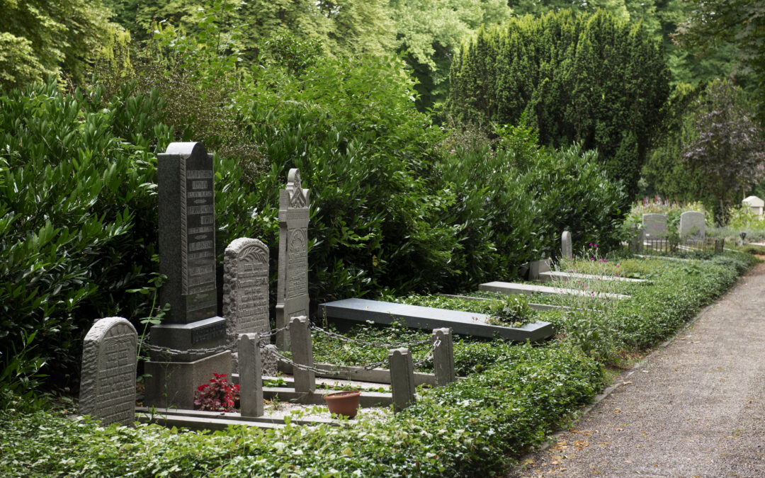 What You Need to Know about Natural Burial vs Traditional Burial