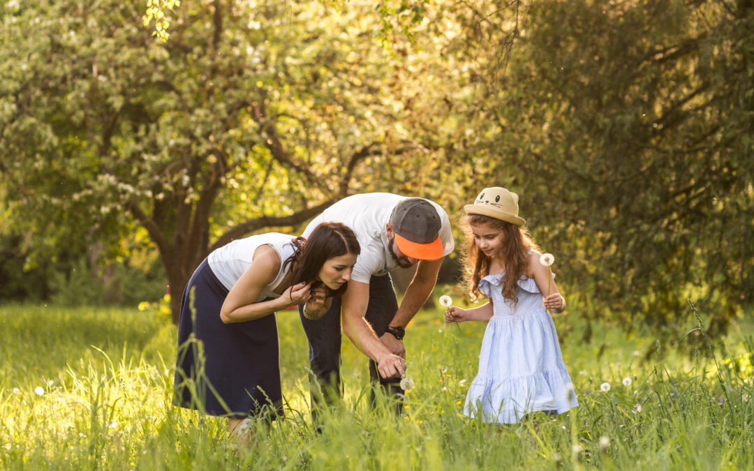 How to Plan an Eco Friendly Funeral in Maryland