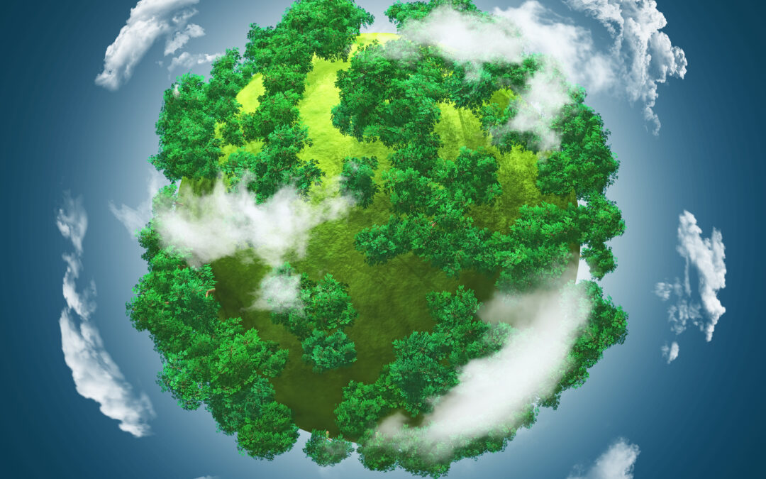 A Worldwide Perspective on Natural Burial Methods