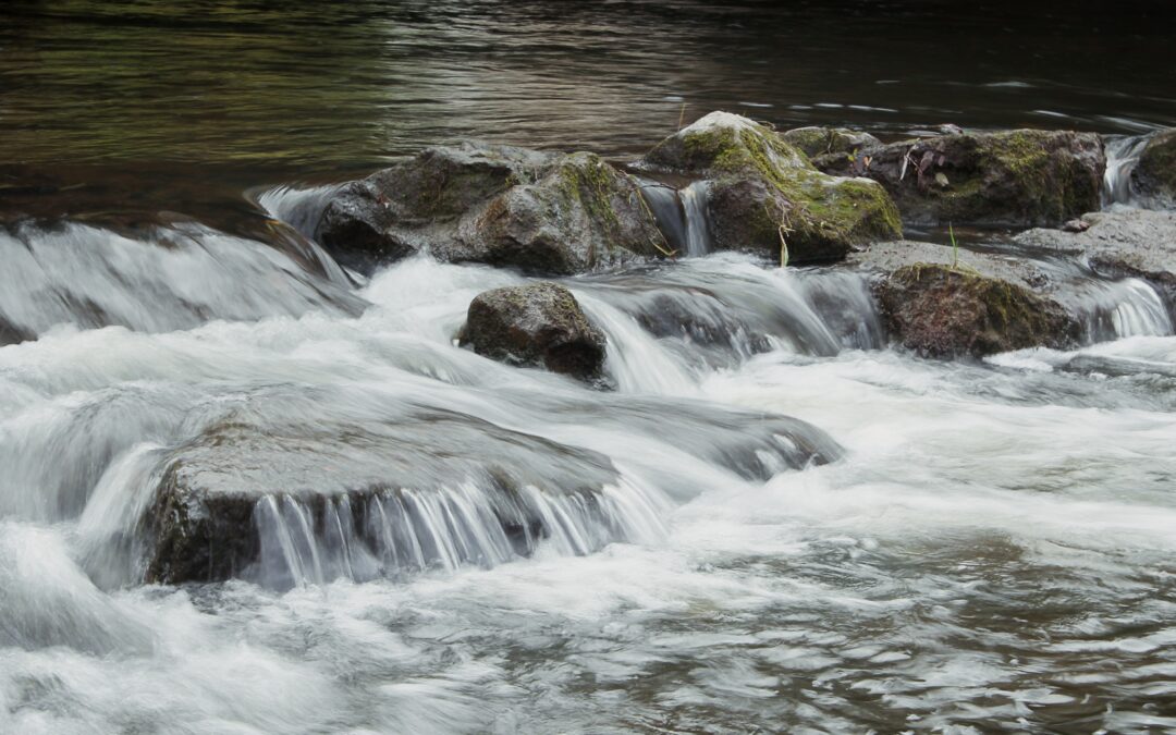 Alkaline Hydrolysis Services for Water Based Cremation