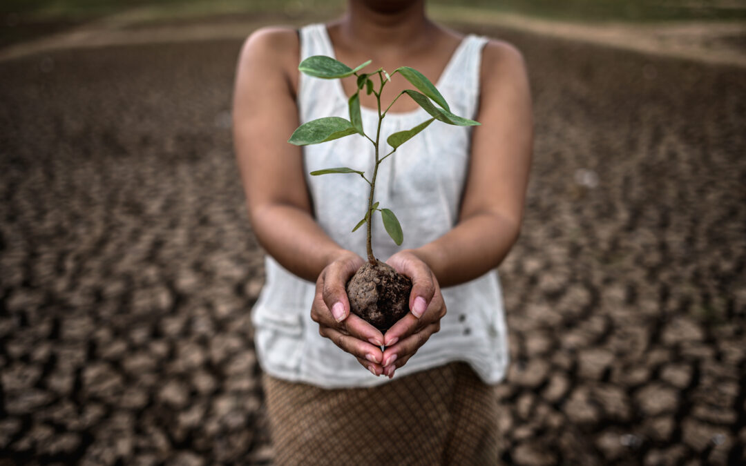 Non-Denominational Burial Options for Diverse Families
