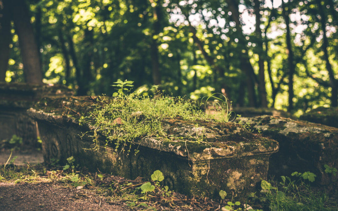 Natural Burial Sequestration Heals Earth Better Than Cremation